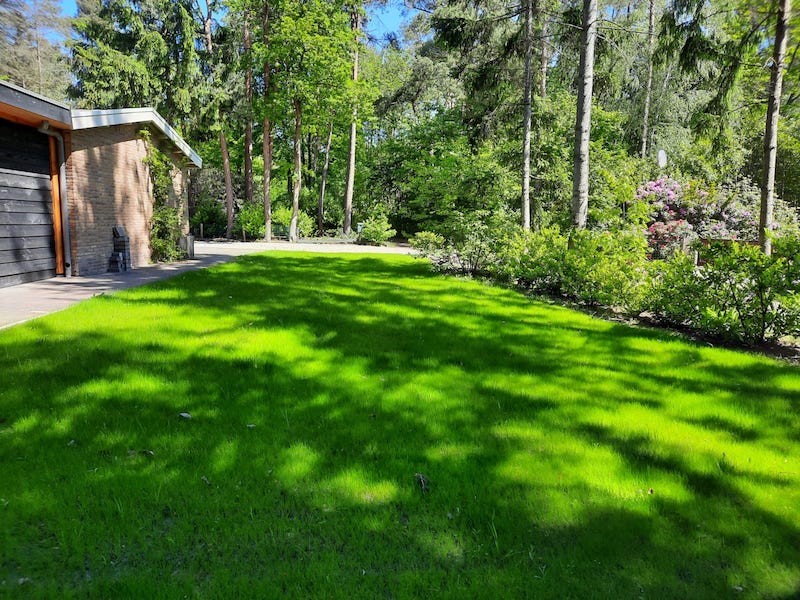 Tuin